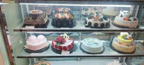 甜味烘焙 中卫人心尖上的甜蜜选择